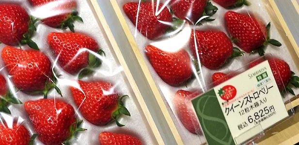 日本便宜又好玩的东西,日本又便宜又实惠的好物