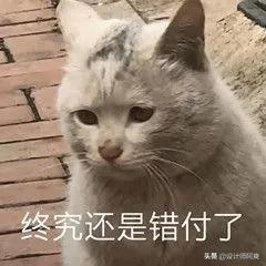 瞧瞧，这才叫窗帘，你家那只是挂了块布