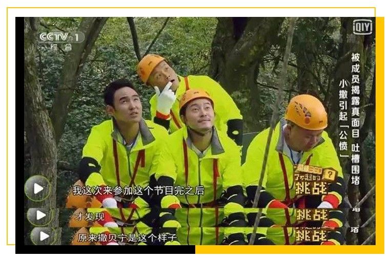 村花撒贝宁：我，43岁，*戏调**马云，芳心纵火犯