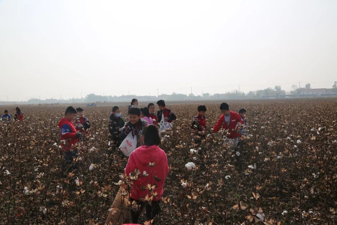 和孩子一起参加学校劳动的发言稿,和孩子们去村里上一堂劳动实践课