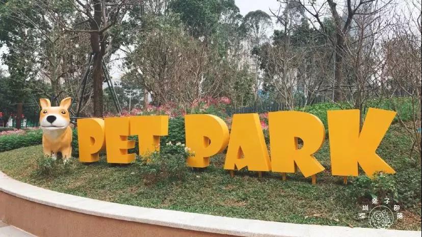 深圳遛娃必去的50个主题公园,深圳亲子游十佳去处免费