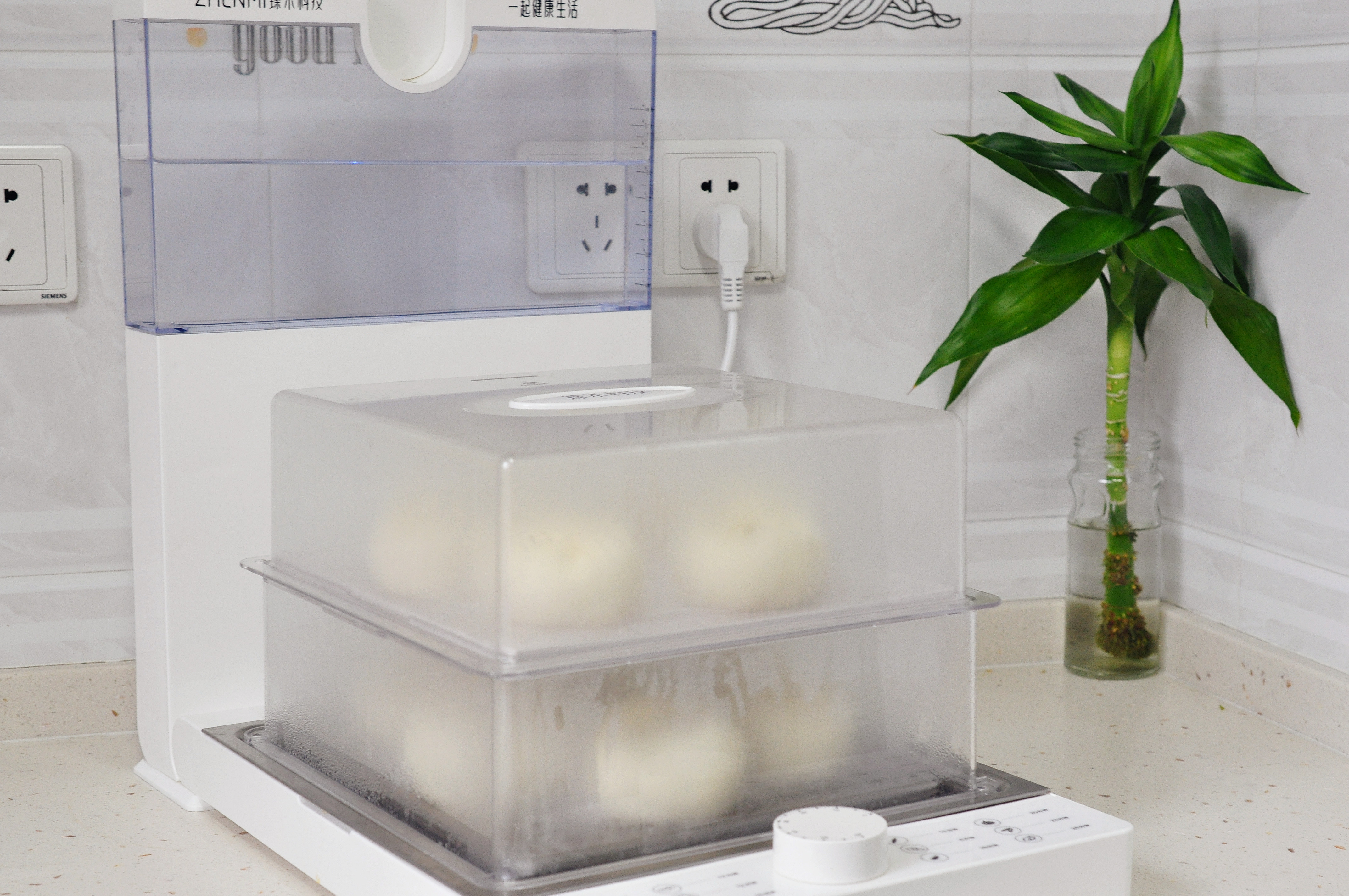 菠菜大包子，吃十个都不怕胖，薄皮大馅，鲜美不腻的秘诀