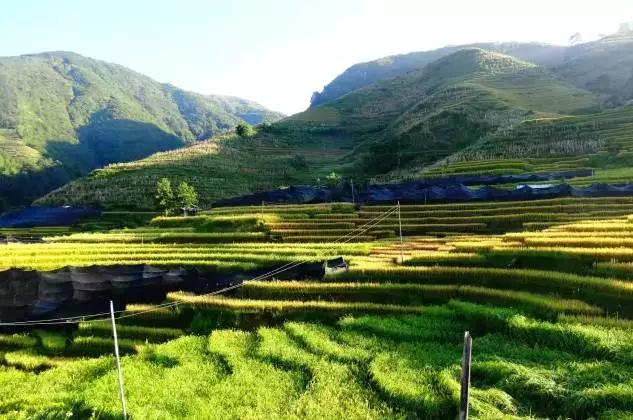 贵州旅游十大必去景点,云南丽江十大旅游景点