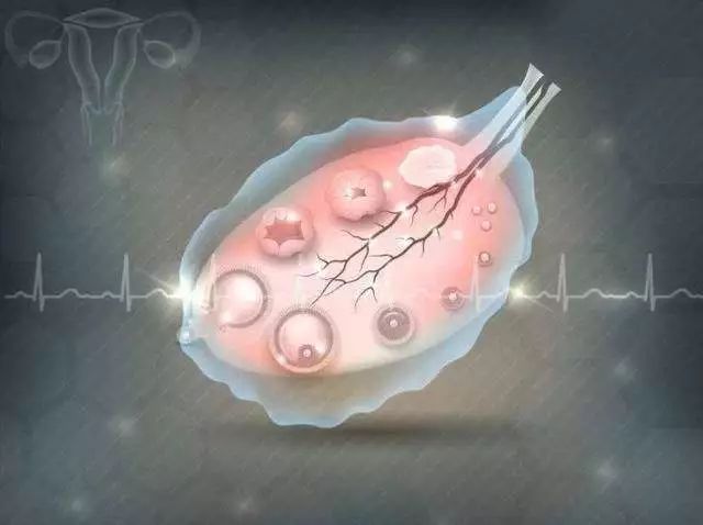 阴超会对孕初期胎儿有影响吗,为什么有些医院建议孕妇做阴超