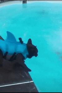 小萝莉搞笑图片,搞笑gif我知道你是个妹子