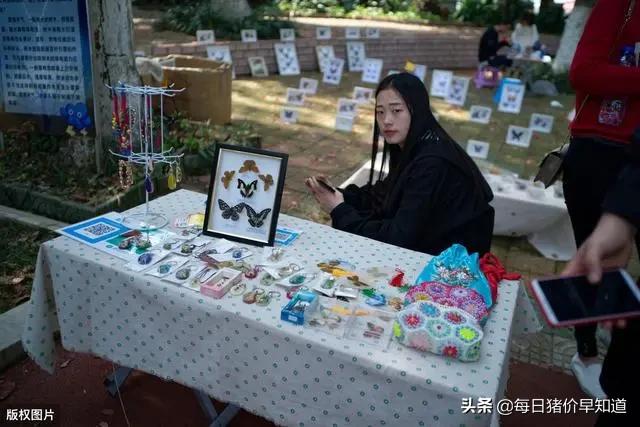 比猪肉降价还让农民高兴，又多一条赚钱路，干好了年入10万不难