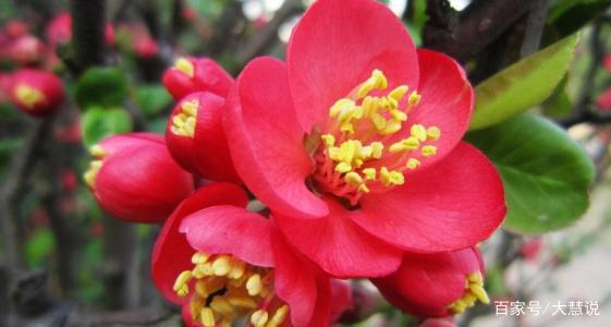 男人越喜欢你越不跟你说话为什么,男人越喜欢你越不和你说话