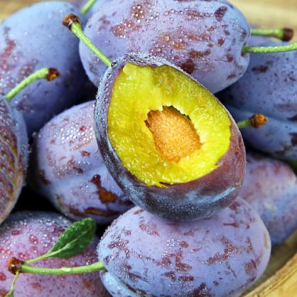 每日好价｜89元耐克短袖，223元Vans板鞋