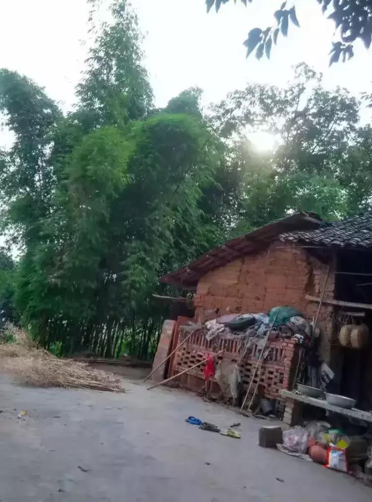 古怪老舅,古怪的舅舅的作文