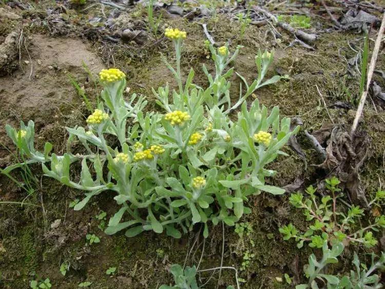广东人的回家方式,广东人回家感受