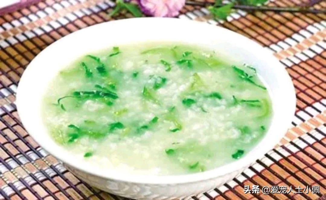 猫怀孕了不想让它生怎么办,为什么我的猫怀孕了胃口不好