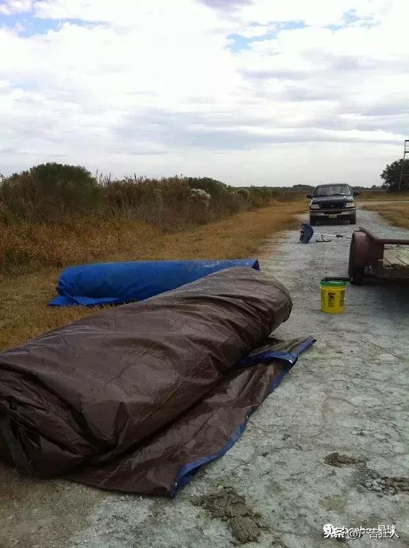 为什么喜欢腾格尔,外国人为什么喜欢腾格尔