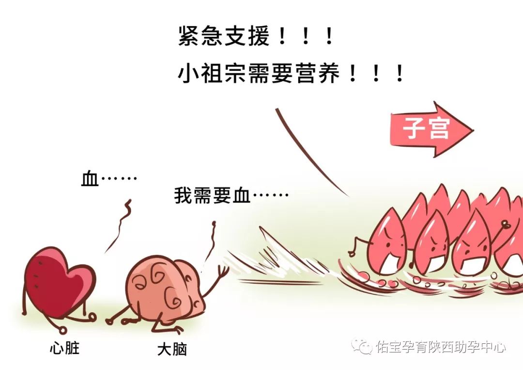 「漫画」听说，怀孕是种很晕的感觉？