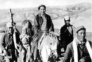 纸老虎明白了什么道理,纸老虎告诉了我们什么道理