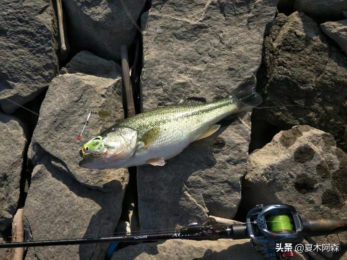 路亚不了解饵重,路亚不知道钓什么