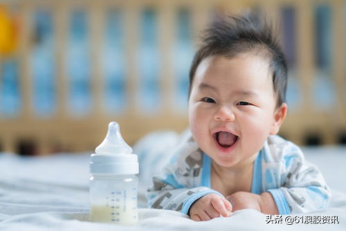 澳大利亚出口中国的奶粉有哪些,澳大利亚乳业有哪些