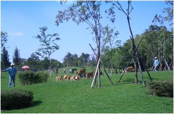 哈尔滨太阳岛冰雕,哈尔滨太阳岛雪景