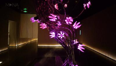 机械美学的最高诠释,机械动力美学