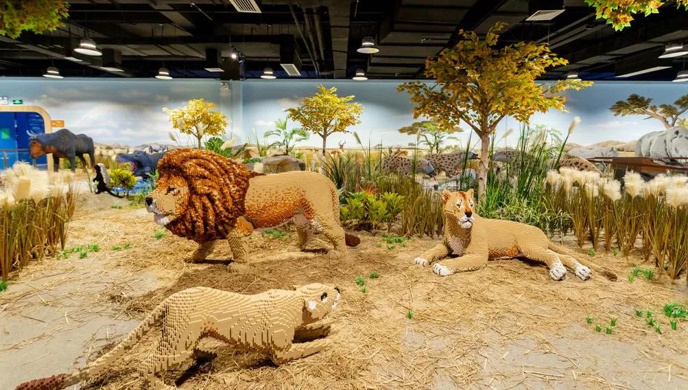 鍗佸ぇ鐑棬浜插瓙涔愬洯娣卞湷,鏂ヨ祫涓や嚎鐨勬父涔愬洯