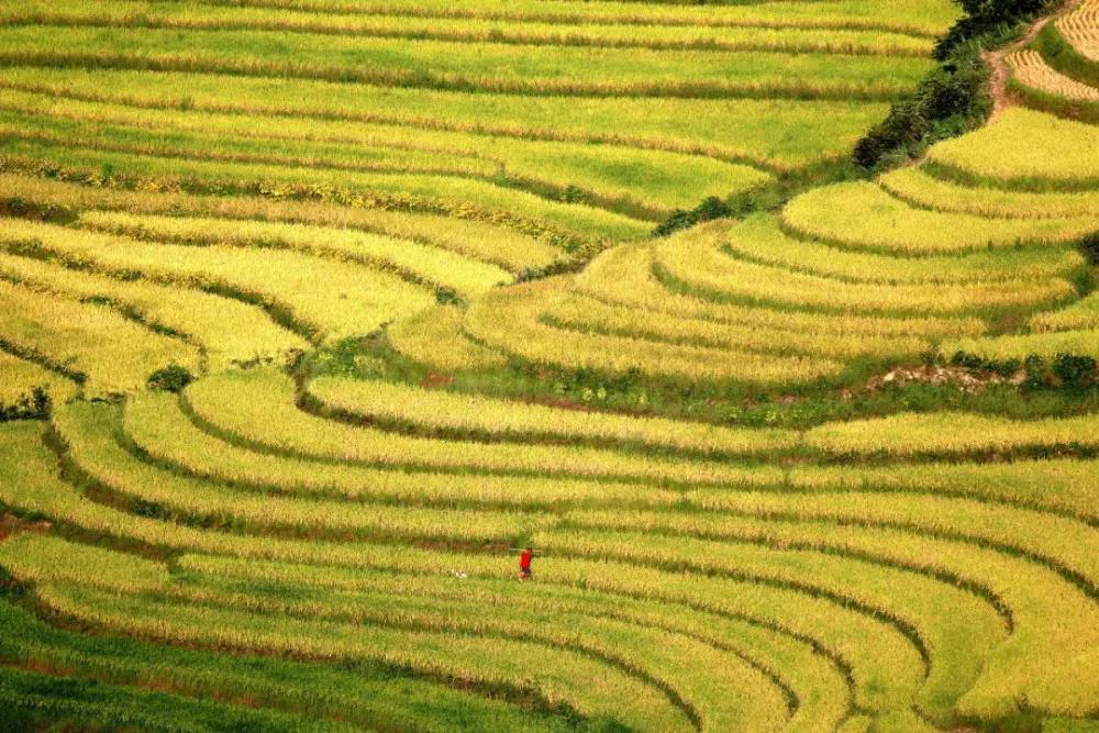 秋分秋色平分寒暑匀,暑离秋往秋分节气