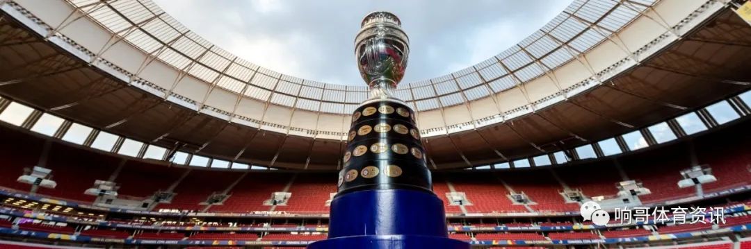 2002世界杯季军战进球,美洲杯赛程结果大揭秘