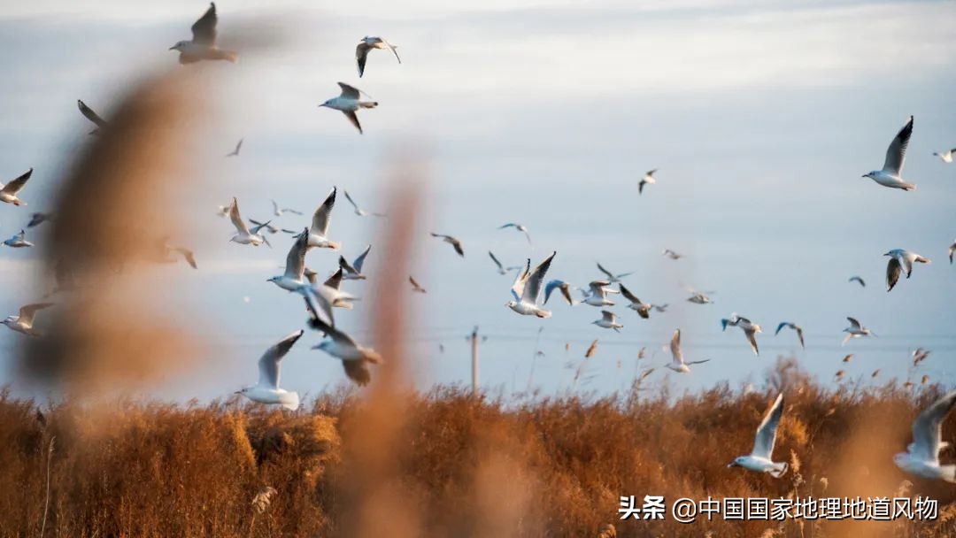 辽宁东北位置,东北的门户图片