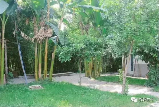 改造山野小院记录田园生活,花4万块钱改造的小院