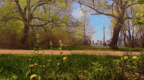 日常随身收纳腰包,多功能强力收纳腰包