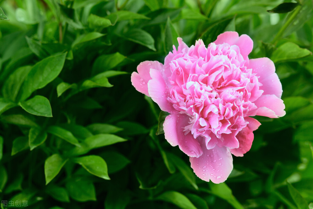 如何跟处女座妈妈搞好关系,怎样才能和处女座相处得更好