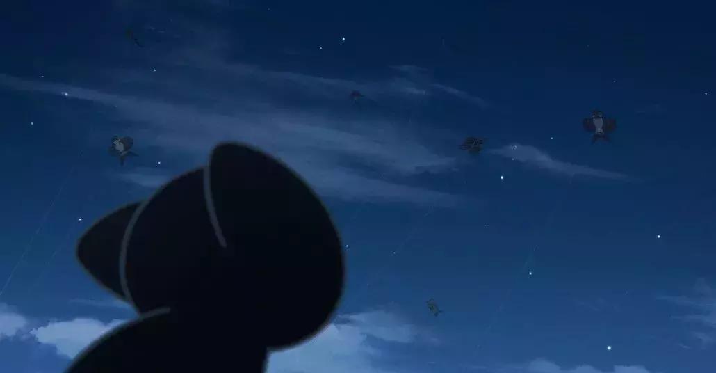 我竟然撸了9年的假猫?