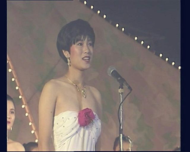 汕尾是一个怎么样的地方呢,汕尾是一个怎么样的城市