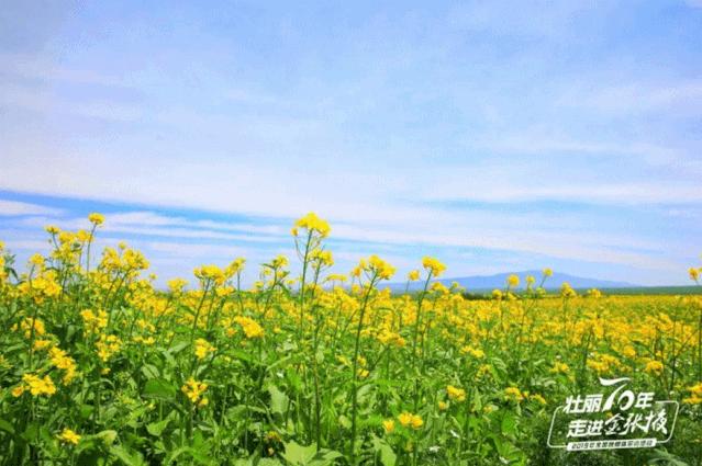甘肃宝藏最多的地方,甘肃这座宝藏小城