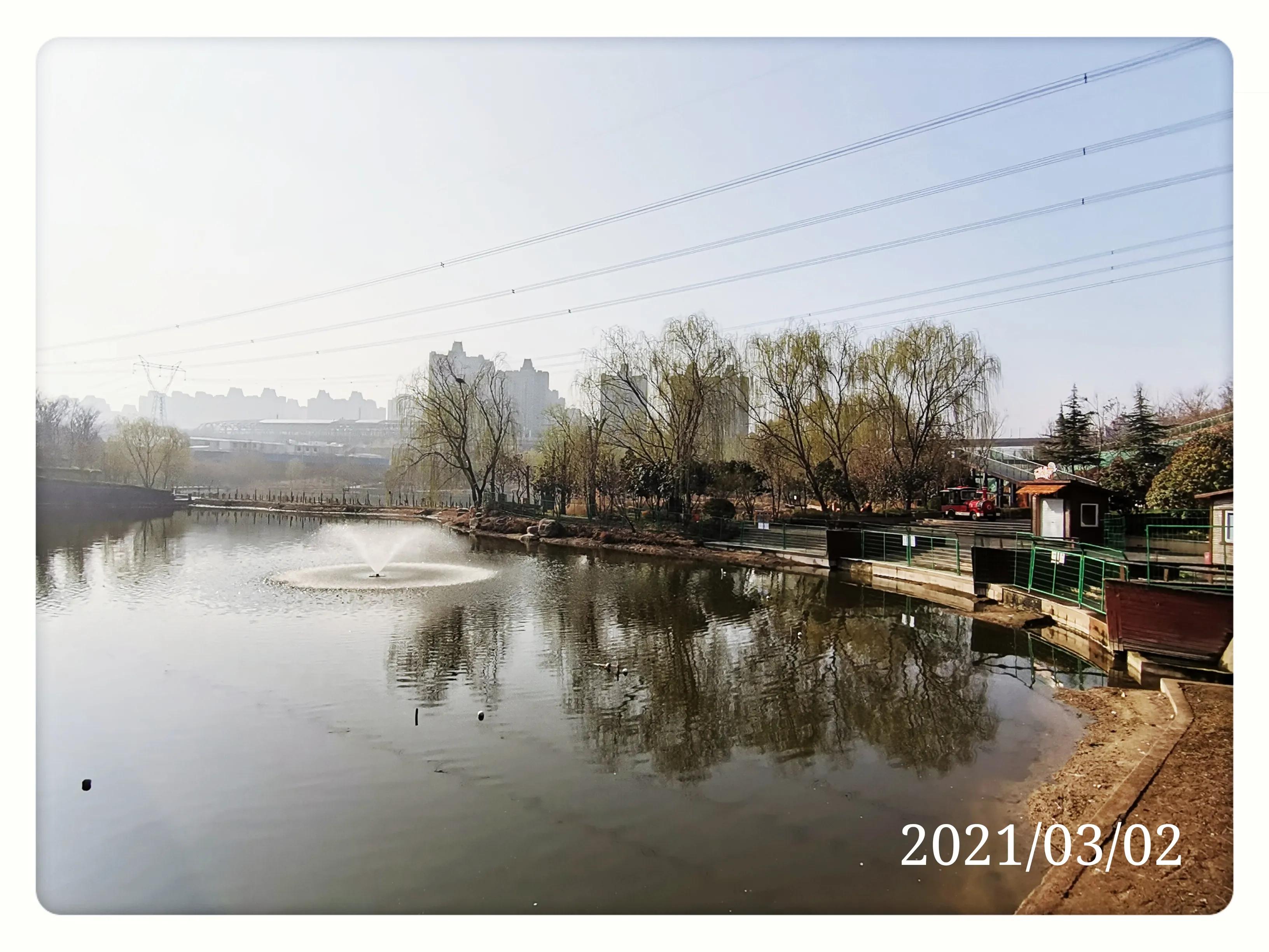 洞林湖在什么地方,郑州洞林湖