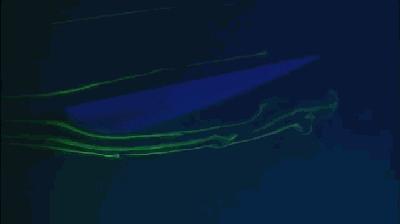 帆船能远洋航行吗,帆船能跑得比风快吗