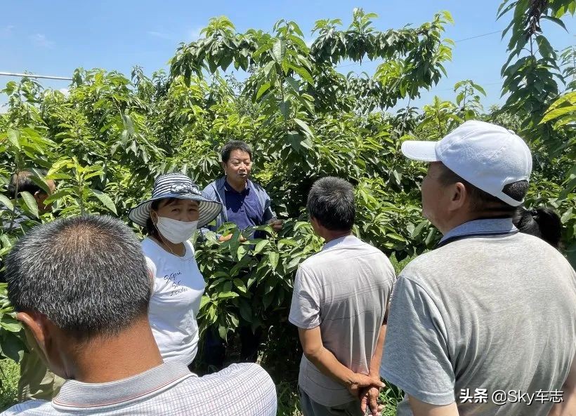 7天3000公里,宝马x57000公里发现烧机油