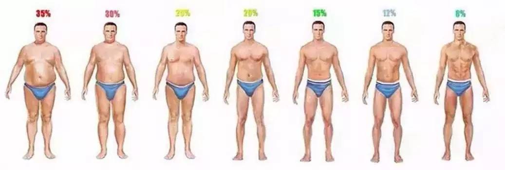 体重73kg身高160bmi怎么算,体重65身高160的bmi是多少