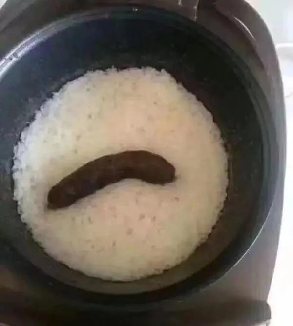 “煮了几天饭后,我在米缸里挖到了猫屎...”