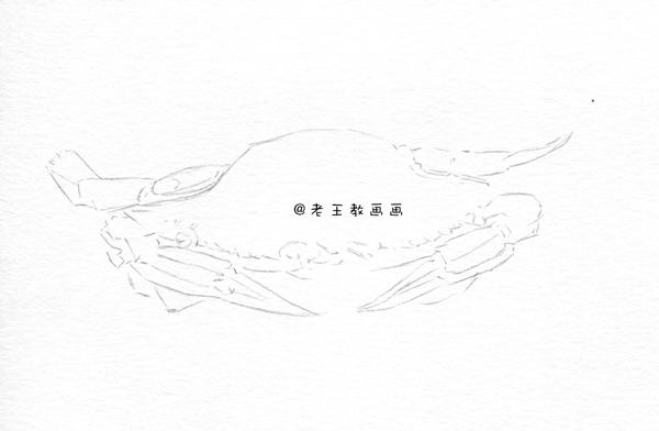 素描螃蟹做法,螃蟹结构素描
