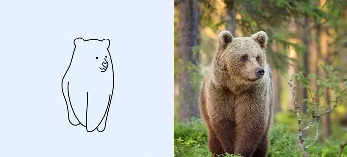 你和大触绘画的区别：一看就会一画就废，这波动物简笔画太形象了