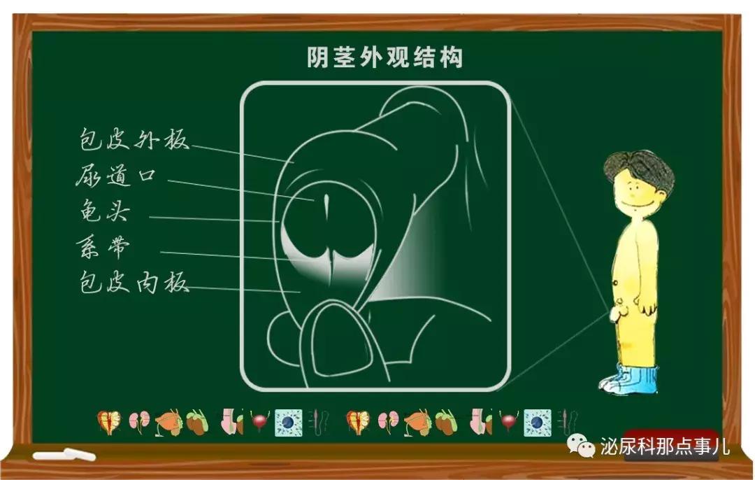 「科普」丁丁皮下有了硬块是怎么回事？