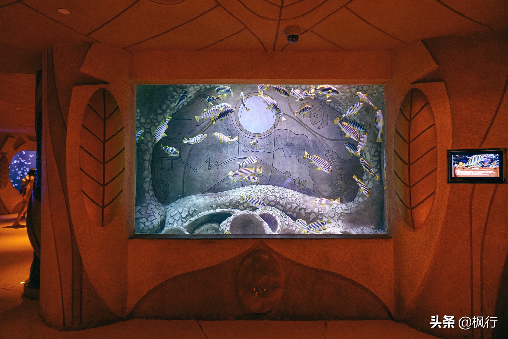 被猴子袭击，门票昂贵，拍照被轰，被我全程吐槽的三亚到底值不值