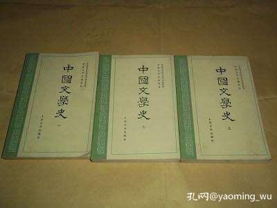 读遍坊间所有中国文学史，甚至啃过砖头厚的《剑桥中国文学史》