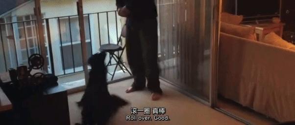 豆瓣9.3分这对夫妻打造1200亩生态农场，“堪称美版「李子柒」”