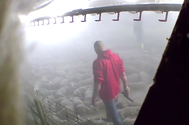 养猪场恐怖视频,养猪场杀猪猪的反应