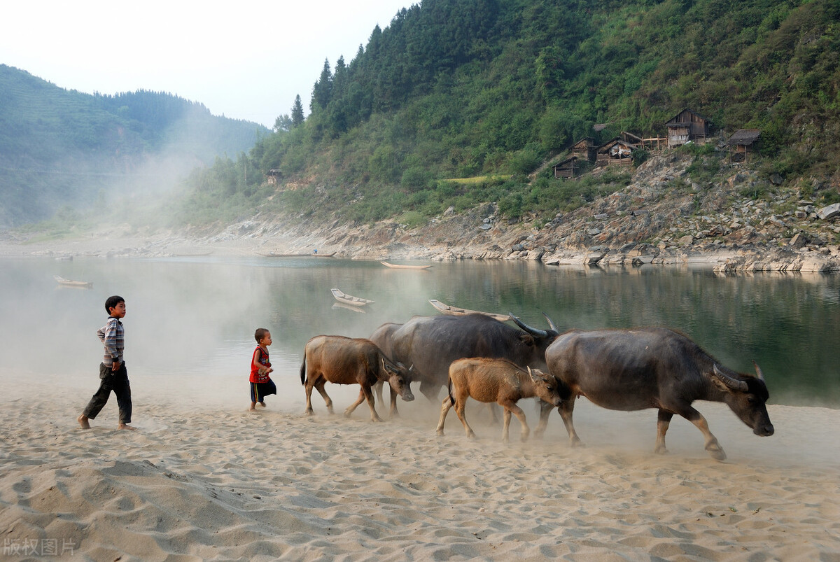 周黑鸭经营视频,周富裕周黑鸭上节目完整