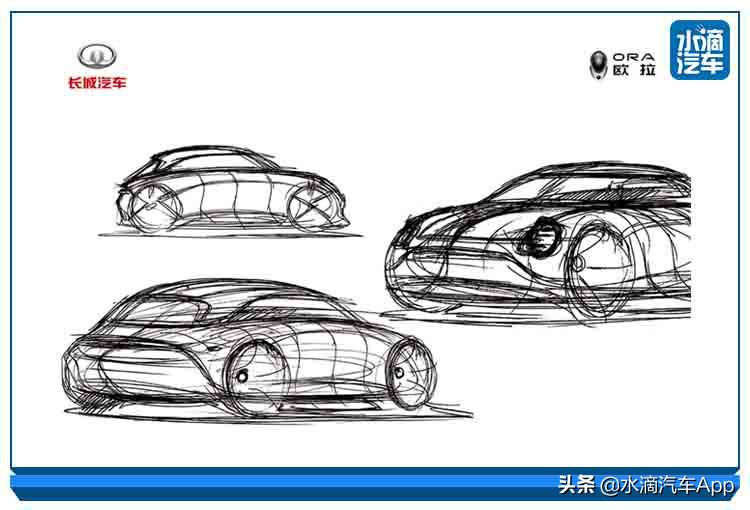 突然伪潮流的欧拉，能成为一只好猫么？