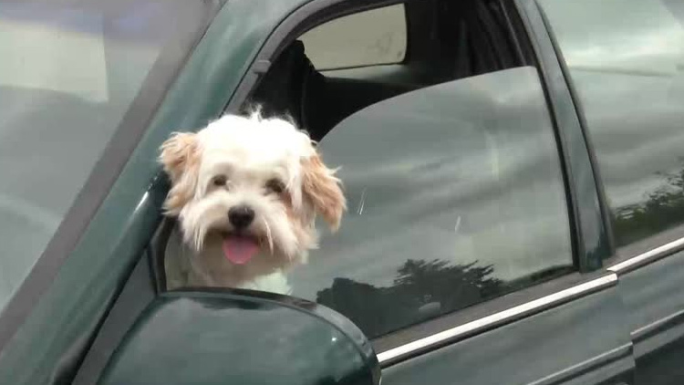 夏天车里没有空调怎么降温,夏季如何降低车内温度