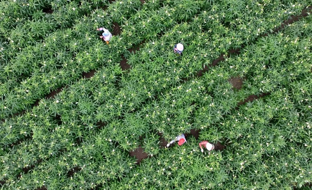 大美邯郸市图片,大美邯郸大名