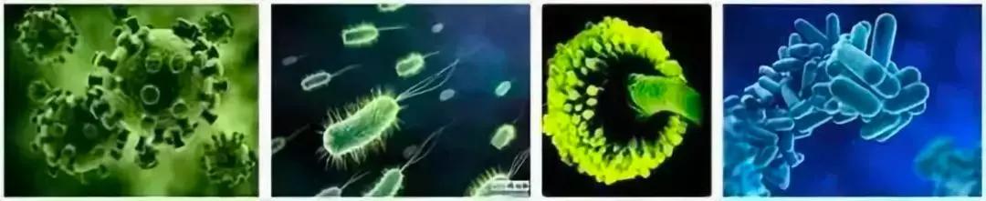 能让衣服持久留香的留香珠,纳米衣物留香珠