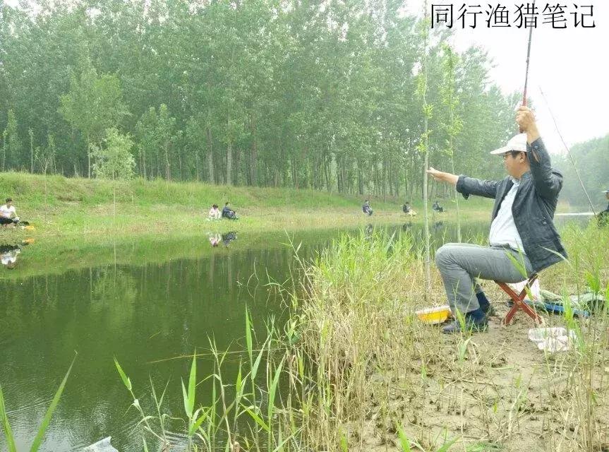 钓鱼记录2019,最新的钓鱼日记